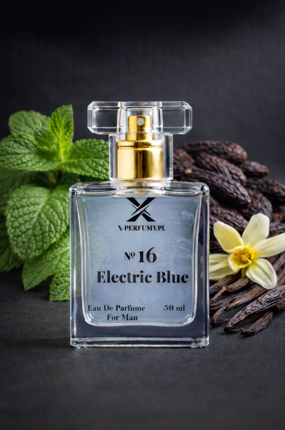 ELECTRIC BLUE Numer 16