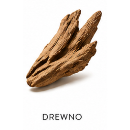 Nuta zapachowa drewno