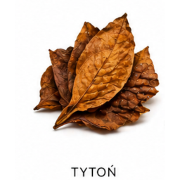 tytoń