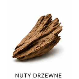 Nuta zapachowa Drewno