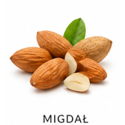 Migdał