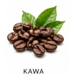 Kawa