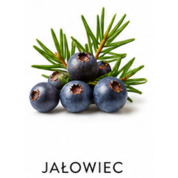 Nuta zapachowa jałowiec