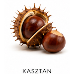 Nuta zapachowa Kasztan