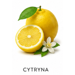 Nuta zapachowa cytryna perfumy