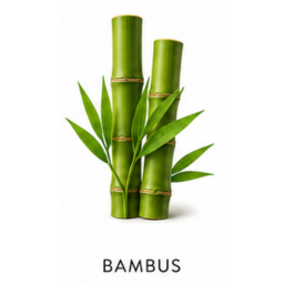 Bambus