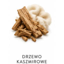 drzewo kaszmirowe