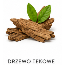 Drzewo tekowe