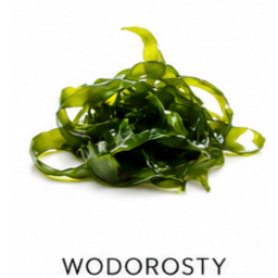 wodorosty