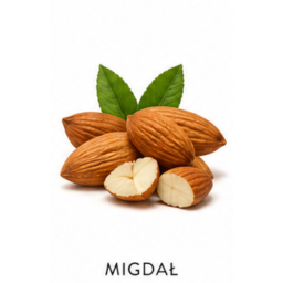 migdał