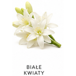 Białe Kwiaty