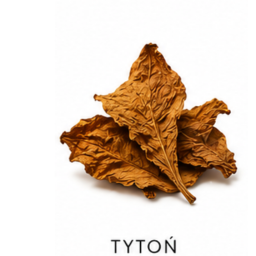 tytoń