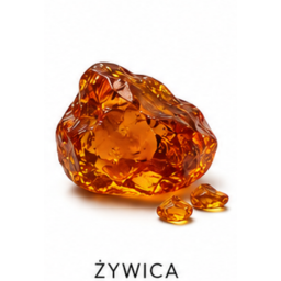 Nuta zapachowa żywica