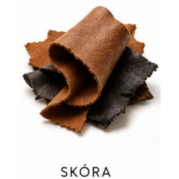 skóra