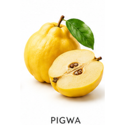 Pigwa