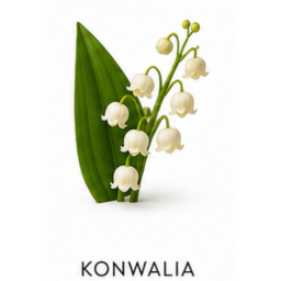 Konwalia