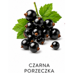 Nuta zapachowa Czarna porzeczka