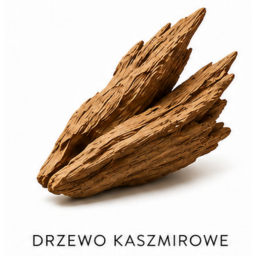 Drzewo Kaszmirowe