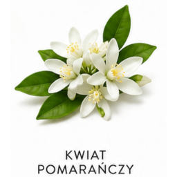 Nuta zapachowa Kwiat Pomarańczy