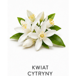 Kwiat cytryny