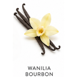 Nuta zapachowa Wanilia Bourbon