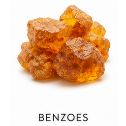 Benzoes (2)