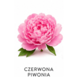 Nuta zapachowa czerwona Piwonia
