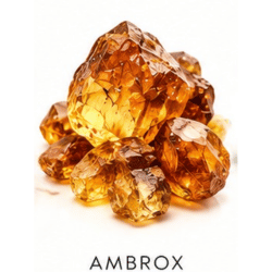 nuta zapachowa ambrox Perfumy